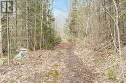 376 RIDING RANCH ROAD | Machar Ontario | Slide Image Thirty-one