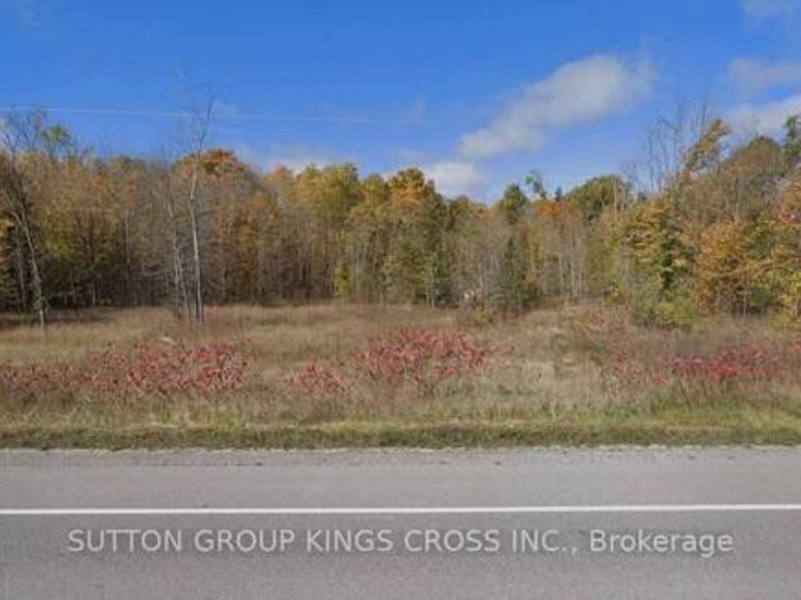 COUNTY ROAD 48 PORTAGE ROAD, Kawartha Lakes, Ontario K0M 2B0