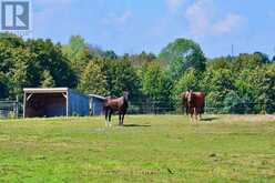 18555 HIGHWAY 12 | Greenbank Ontario | Slide Image Thirty-two