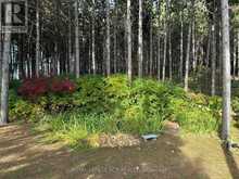 708321 COUNTY RD 21 | Mulmur Ontario | Slide Image Thirty