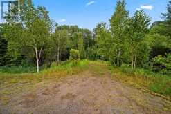 625 HIGHWAY 518 W | Emsdale Ontario | Slide Image Ten