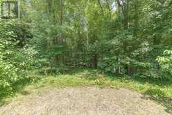 1046 SOUTHWOOD ROAD | Gravenhurst Ontario | Slide Image Four