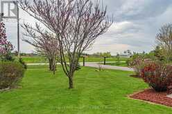 781 CONCESSION ROAD 2 | York Ontario | Slide Image Thirty-one