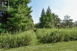 4845 ESCARPMENT SIDE ROAD | Caledon Ontario | Slide Image Forty-three