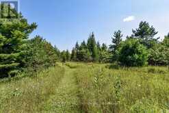 4845 ESCARPMENT SIDE ROAD | Caledon Ontario | Slide Image Forty-five