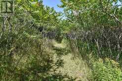 4845 ESCARPMENT SIDE ROAD | Caledon Ontario | Slide Image Forty-six