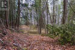 LOT 12 EAGLE RIDGE DRIVE | Meaford Ontario | Slide Image Five