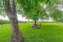 290 FOUR MILE CREEK ROAD | Niagara-on-the-Lake Ontario | Slide Image Thirty-nine
