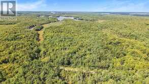 LT 19-20 CON 1 MEDORA | Port Carling Ontario | Slide Image Ten