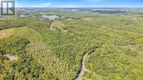 LT 19-20 CON 1 MEDORA | Port Carling Ontario | Slide Image Four