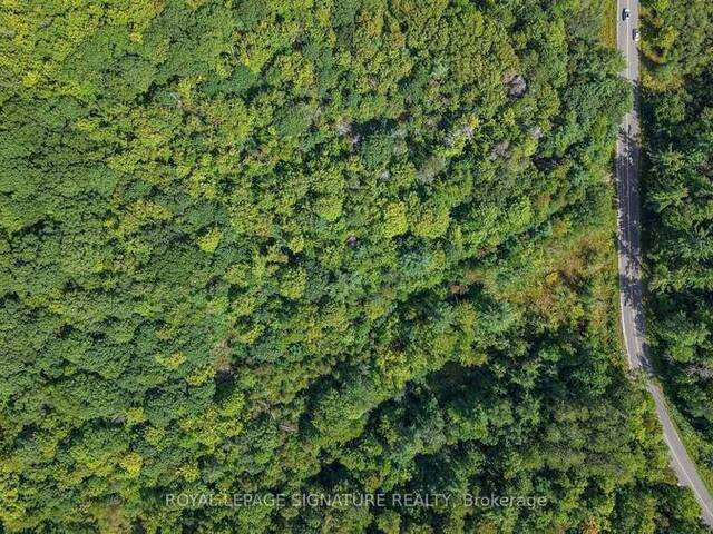 LT 19-20 CON 1 MEDORA Port Carling Ontario, P0B 1J0 - Vacant Land For Sale