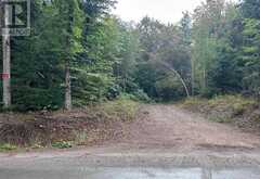 0 QUEENS LINE ROAD | Minden Hills Ontario | Slide Image One