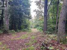 0 QUEENS LINE ROAD | Minden Hills Ontario | Slide Image Four