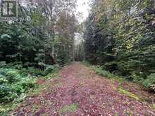 0 QUEENS LINE ROAD | Minden Hills Ontario | Slide Image Five