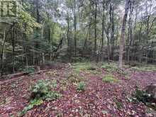 0 QUEENS LINE ROAD | Minden Hills Ontario | Slide Image Six