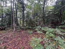 0 QUEENS LINE ROAD | Minden Hills Ontario | Slide Image Seven