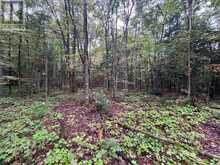 0 QUEENS LINE ROAD | Minden Hills Ontario | Slide Image Eight