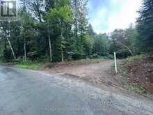 0 QUEENS LINE ROAD | Minden Hills Ontario | Slide Image Nine