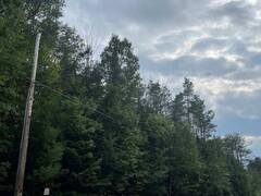 21 PETER AVENUE Tiny Ontario, L0L 2J0