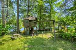 251A - 19 FIRE ROUTE | North Kawartha Ontario | Slide Image Forty-three