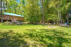 251A - 19 FIRE ROUTE | North Kawartha Ontario | Slide Image Forty
