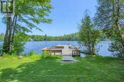 251A - 19 FIRE ROUTE | North Kawartha Ontario | Slide Image Six