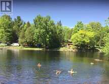 78 WHISPERING WATERS ROAD | Marmora Ontario | Slide Image Thirty-eight