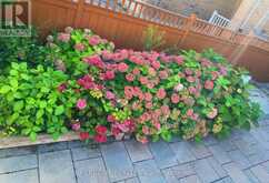 29 ROCK GARDEN STREET | Markham Ontario | Slide Image Four