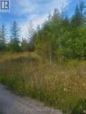 19013 62 HIGHWAY | Madoc Ontario | Slide Image Nine