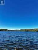 1257 PAINT LAKE ROAD | Lake of Bays Ontario | Slide Image Thirty-three