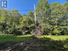 3275 MUSCLOW-GREENVIEW ROAD | Bancroft Ontario | Slide Image Twenty-eight
