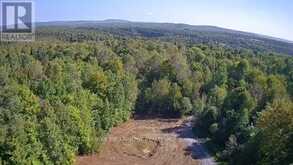 3275 MUSCLOW-GREENVIEW ROAD | Bancroft Ontario | Slide Image Two