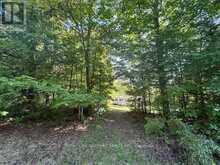 3275 MUSCLOW-GREENVIEW ROAD | Bancroft Ontario | Slide Image Thirty