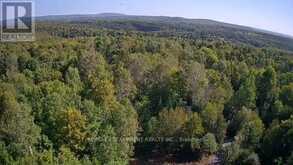 3275 MUSCLOW-GREENVIEW ROAD | Bancroft Ontario | Slide Image Three