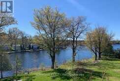 62 FIRE ROUTE 94 | Bobcaygeon Ontario | Slide Image Thirty-nine