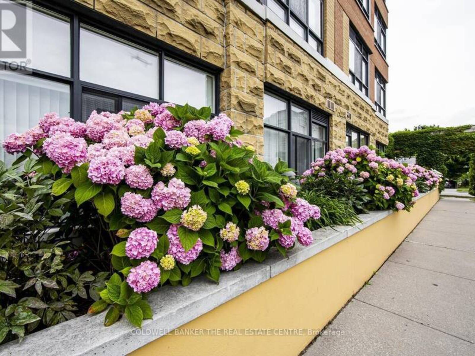 510 - 115 BONIS AVENUE, Toronto, Ontario M1T 3S4