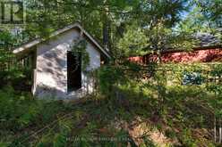 229 SUNNIDALE ROAD | Wasaga Beach Ontario | Slide Image Twenty-seven