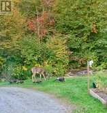 482 EAST POVERTY BAY ROAD | Magnetawan Ontario | Slide Image Fifty