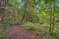116 MILL POND SIDE ROAD | Coldwater Ontario | Slide Image Forty-five