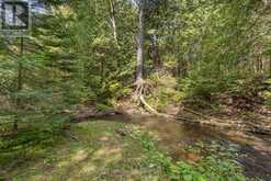 116 MILL POND SIDE ROAD | Coldwater Ontario | Slide Image Forty-six