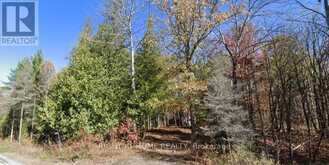 93 MCCLEARY ROAD | Marmora Ontario | Slide Image One