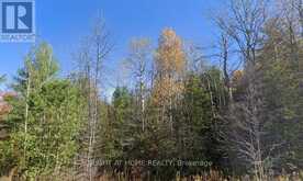 93 MCCLEARY ROAD | Marmora Ontario | Slide Image Two
