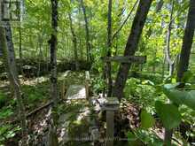 137 PICKEREL POINT ROAD | Port Severn Ontario | Slide Image Forty