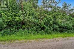1659 COUNTY ROAD 92 | Elmvale Ontario | Slide Image Four