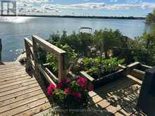 LOT 42 SNAKE ISLAND ROAD | Georgina Ontario | Slide Image Twelve