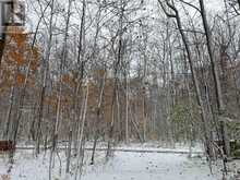 LOT 42 SNAKE ISLAND ROAD | Georgina Ontario | Slide Image Forty-four