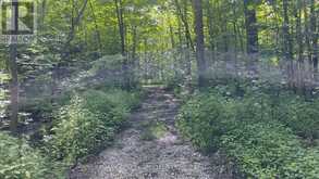 LOT 42 SNAKE ISLAND ROAD | Georgina Ontario | Slide Image Fifty