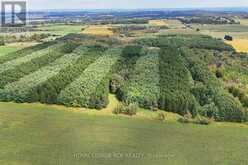 LOT 29 PRINCE OF WALES ROAD W | Mulmur Ontario | Slide Image Ten