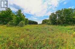 LOT 29 PRINCE OF WALES ROAD W | Mulmur Ontario | Slide Image Eleven