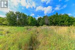 LOT 29 PRINCE OF WALES ROAD W | Mulmur Ontario | Slide Image Twelve